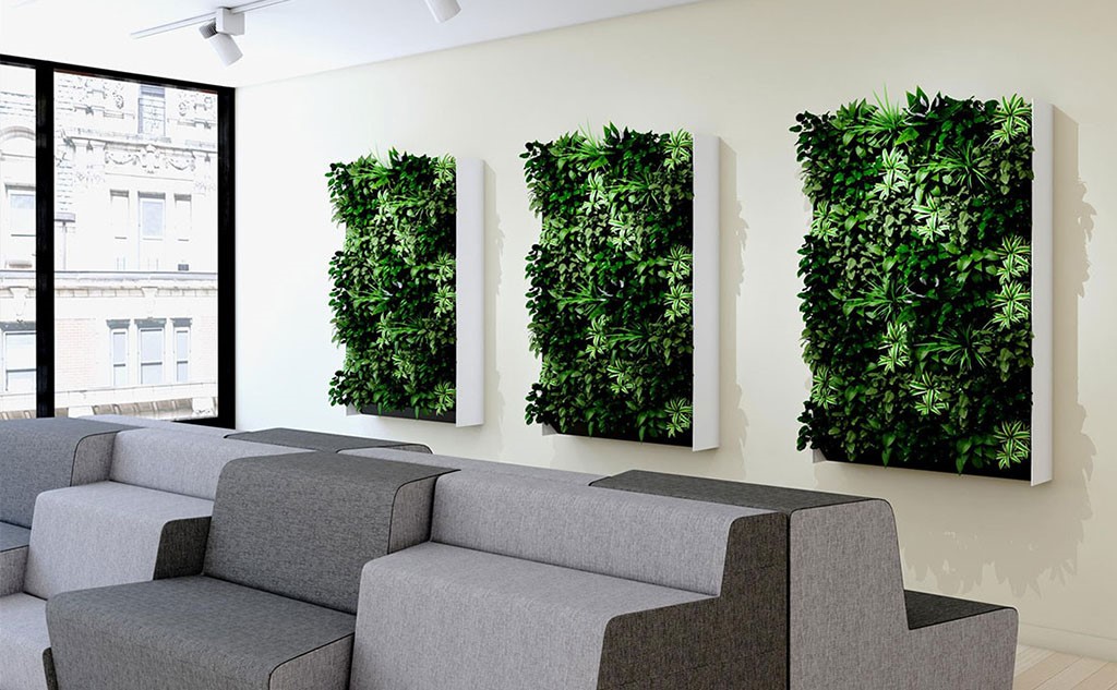 Bringing the Outdoors in with Living Walls
